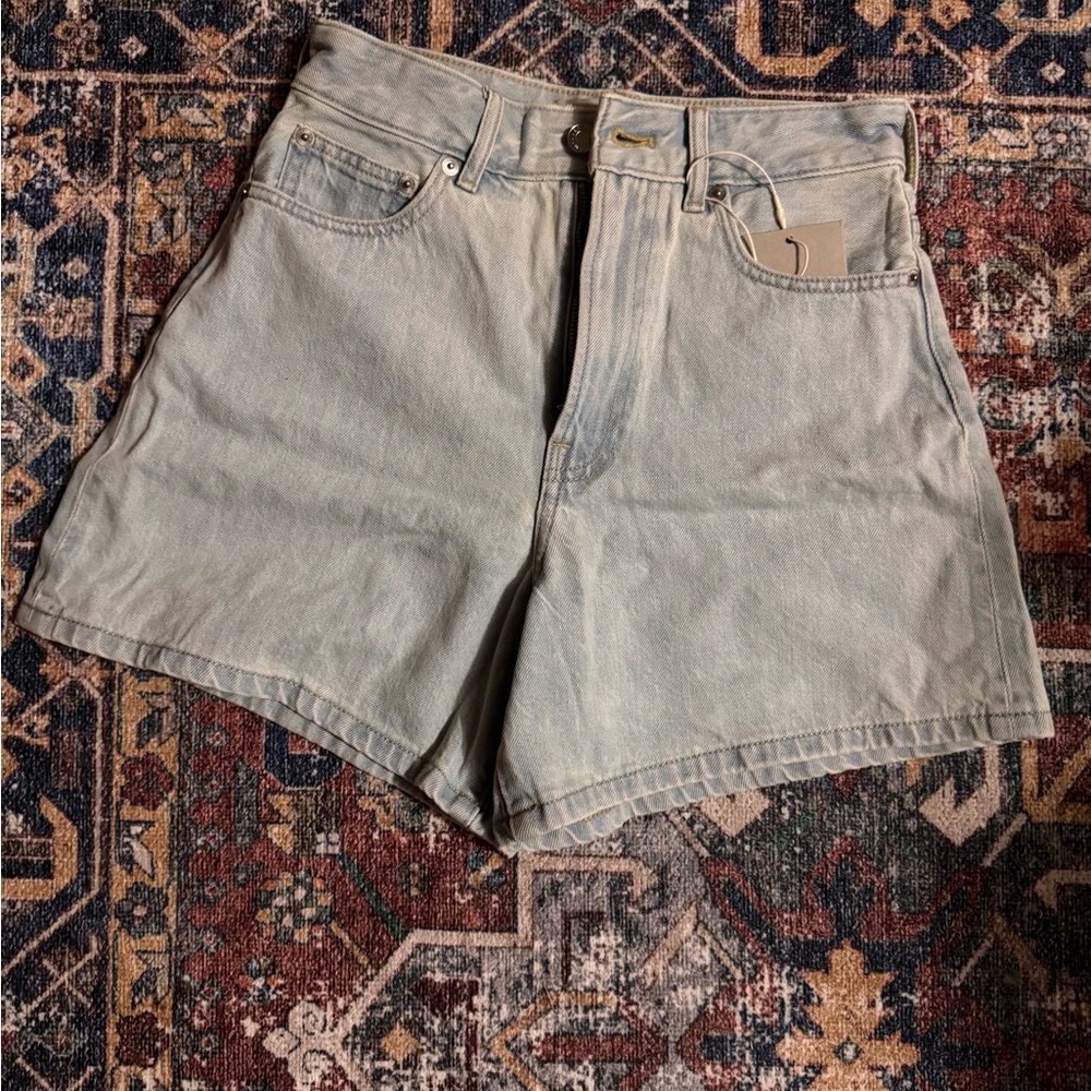 Everlane Blue Jean Shorts with High-Waisted Cut and Distressed Fabric